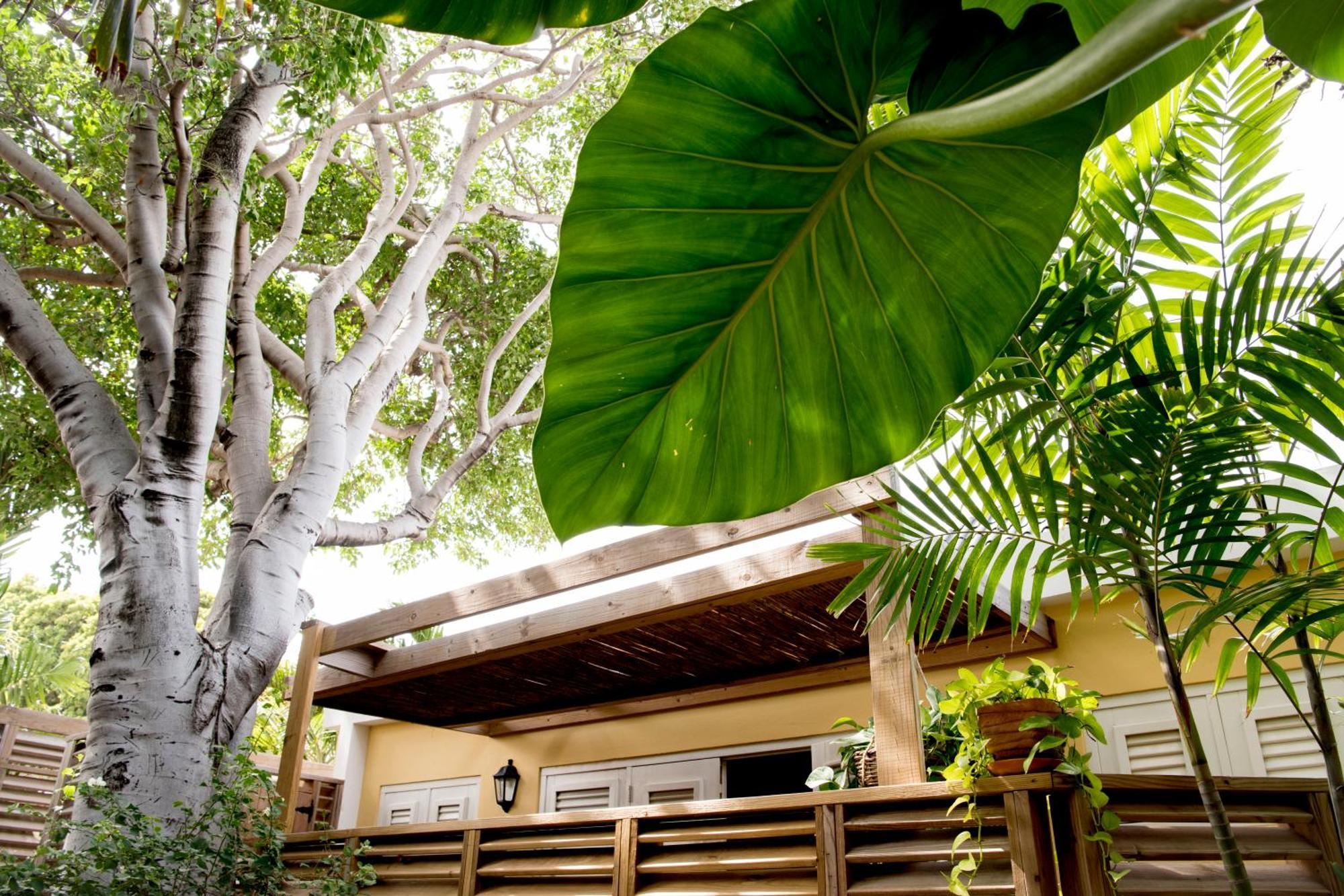דירות וילמסטאד Curacao Gardens חדר תמונה